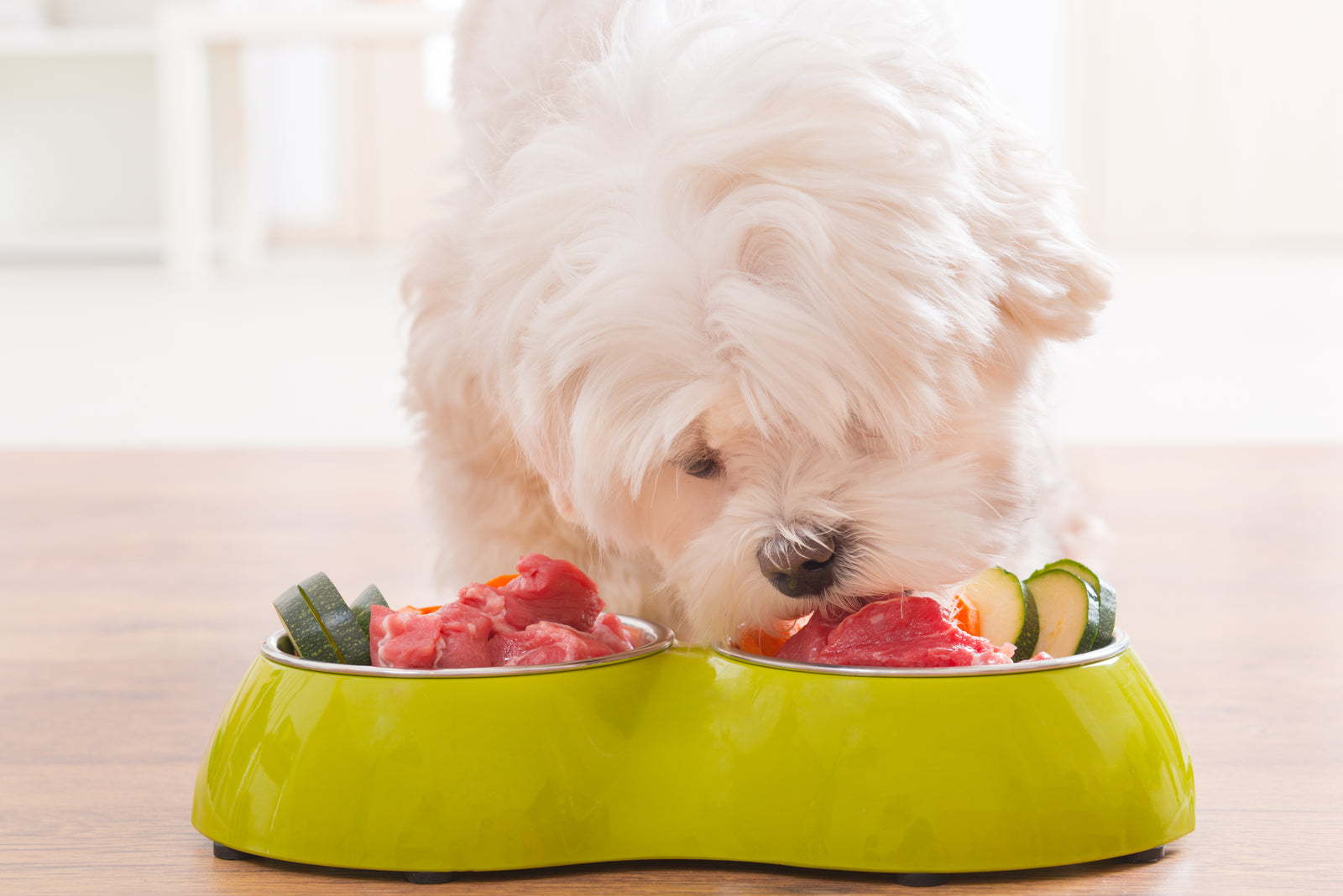 gutChek for Pets: Discover What Your Dog Needs to Feel Great